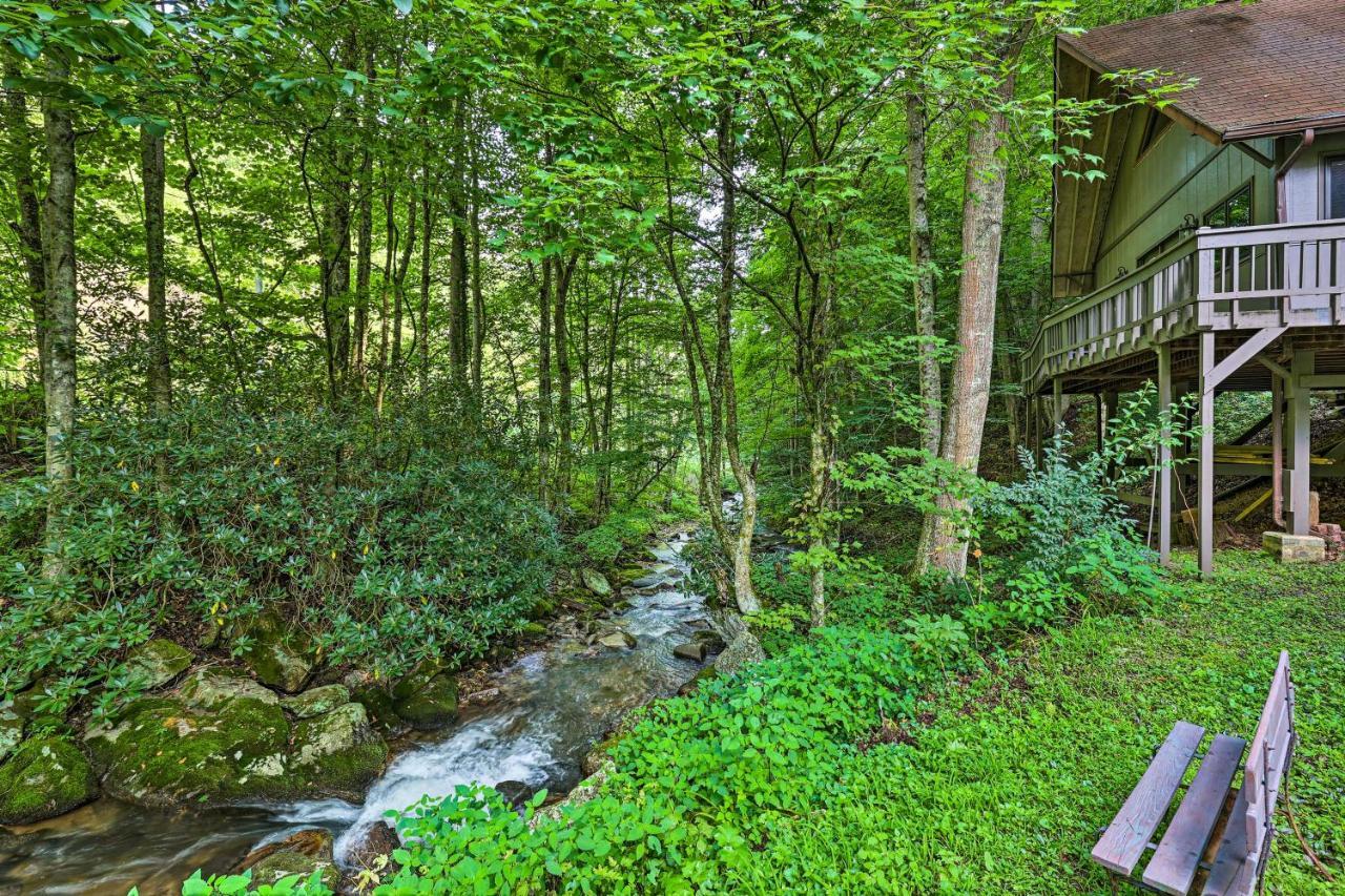 Creekside Roan Mountain Cabin Walk To Trails 外观 照片