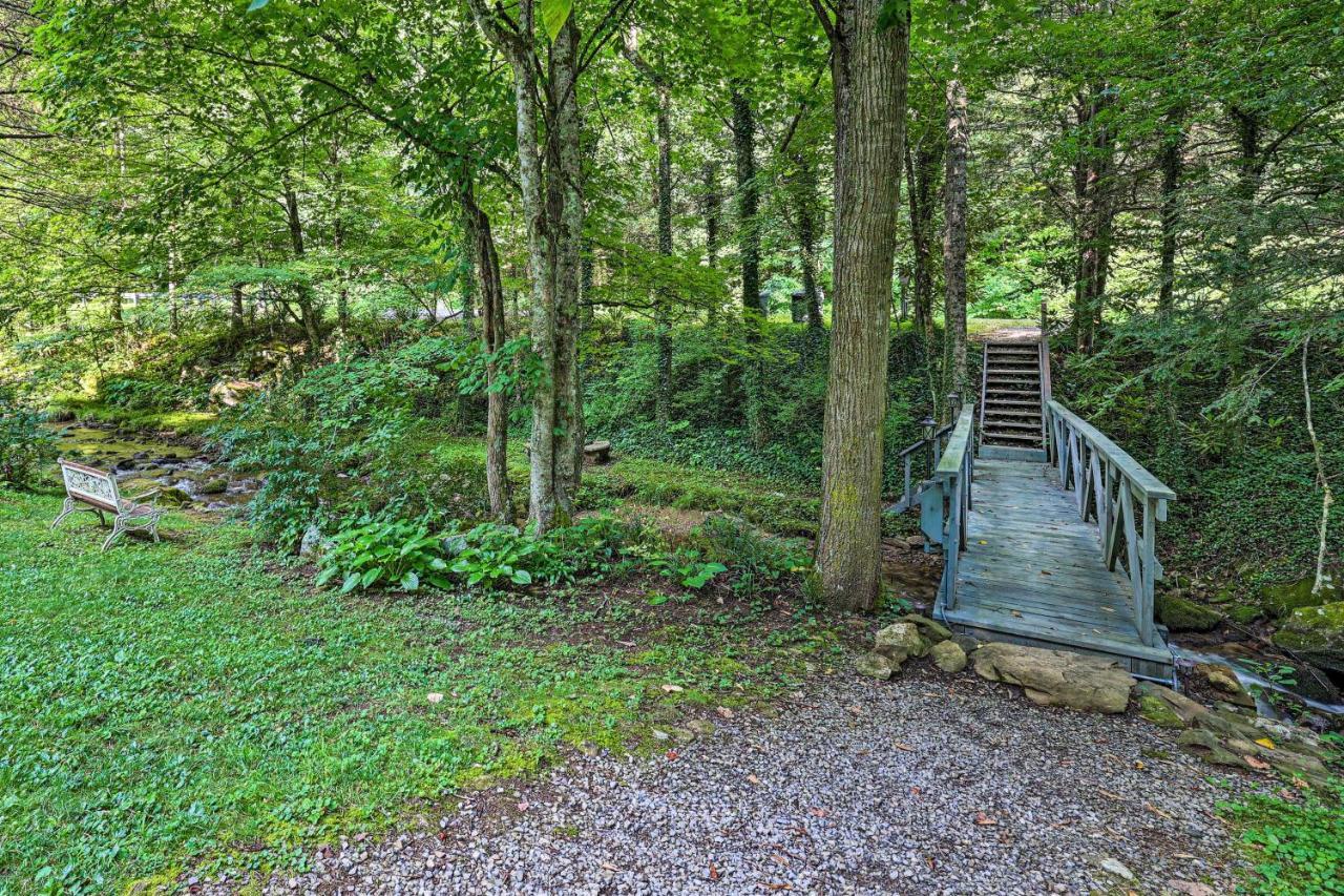 Creekside Roan Mountain Cabin Walk To Trails 外观 照片