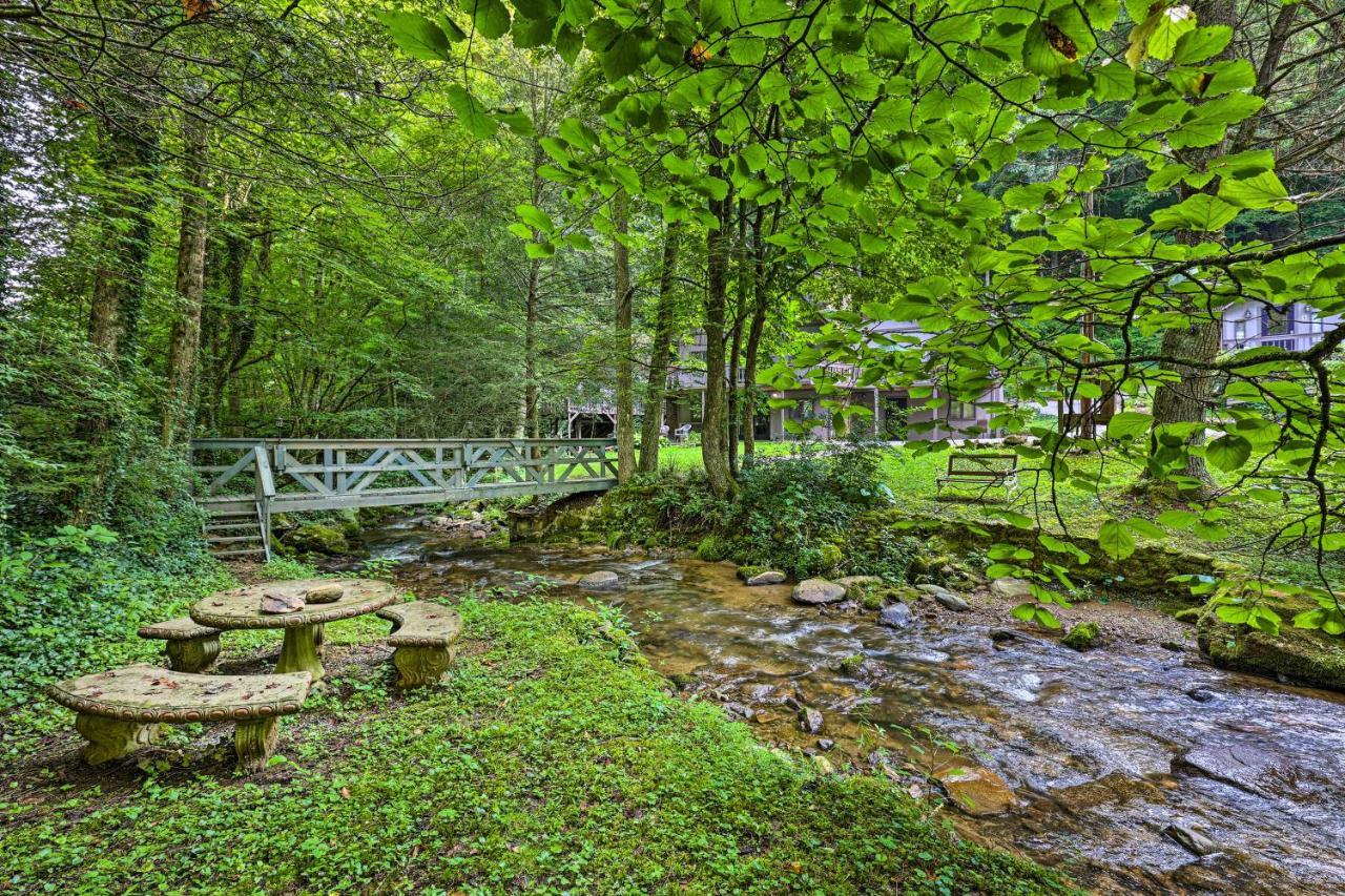 Creekside Roan Mountain Cabin Walk To Trails 外观 照片