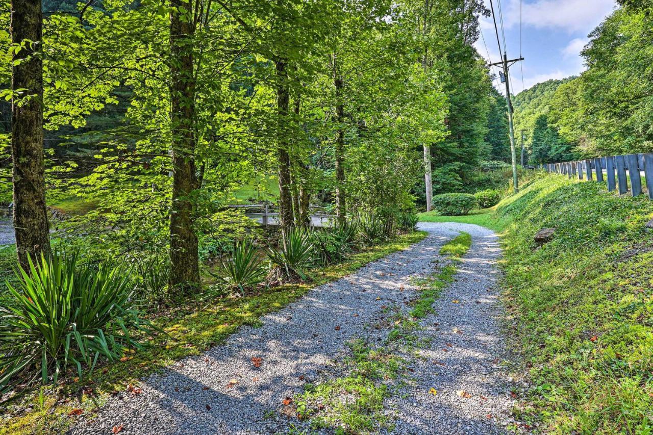 Creekside Roan Mountain Cabin Walk To Trails 外观 照片