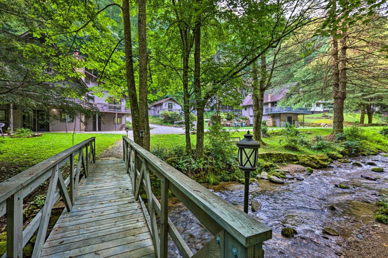 Creekside Roan Mountain Cabin Walk To Trails 外观 照片